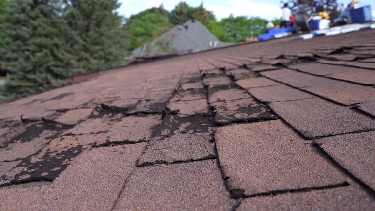 Best Metal Roofing Installation  in Forest Park, IL