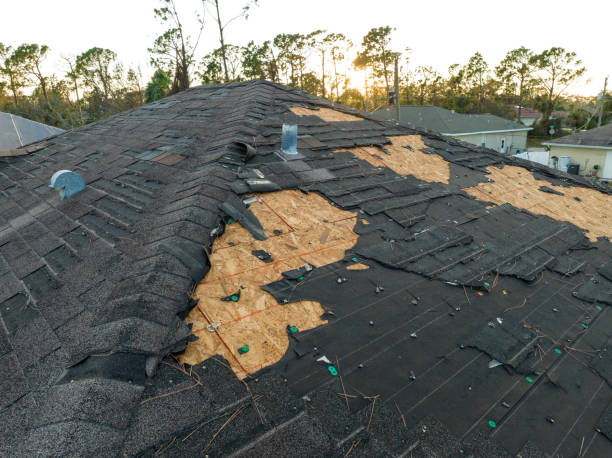 Best Roof Moss and Algae Removal  in Forest Park, IL
