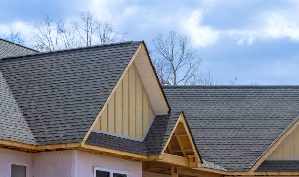 Best Asphalt Shingles Roofing  in Forest Park, IL