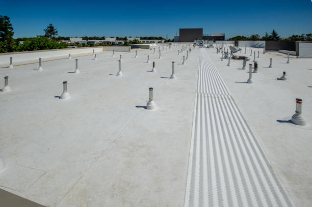 Best Metal Roofing Installation  in Forest Park, IL